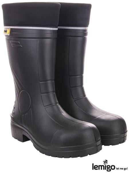 Buty bezpieczne GO WORK BLGOWORK