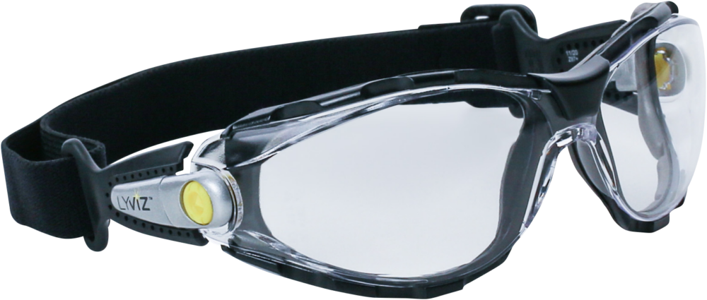 Okulary z poliwęglanu Delta Plus PACAYA CLEAR STRAP LYVIZ — Bezbarwny